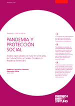 Pandemia y protección social